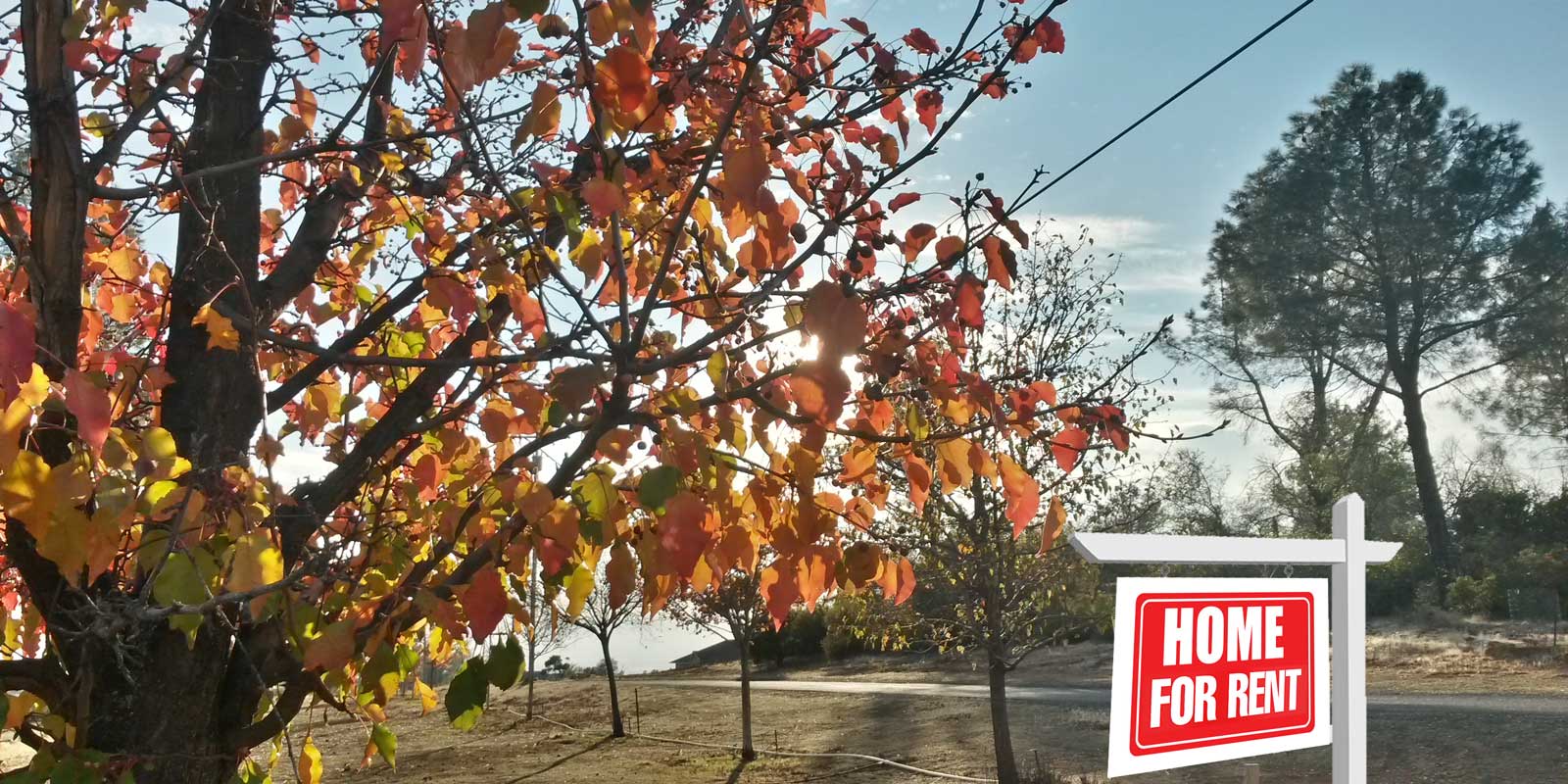 Rent a Home Pinecrest Mobile Home Park Paradise